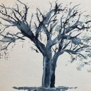 50 - Mon arbre 