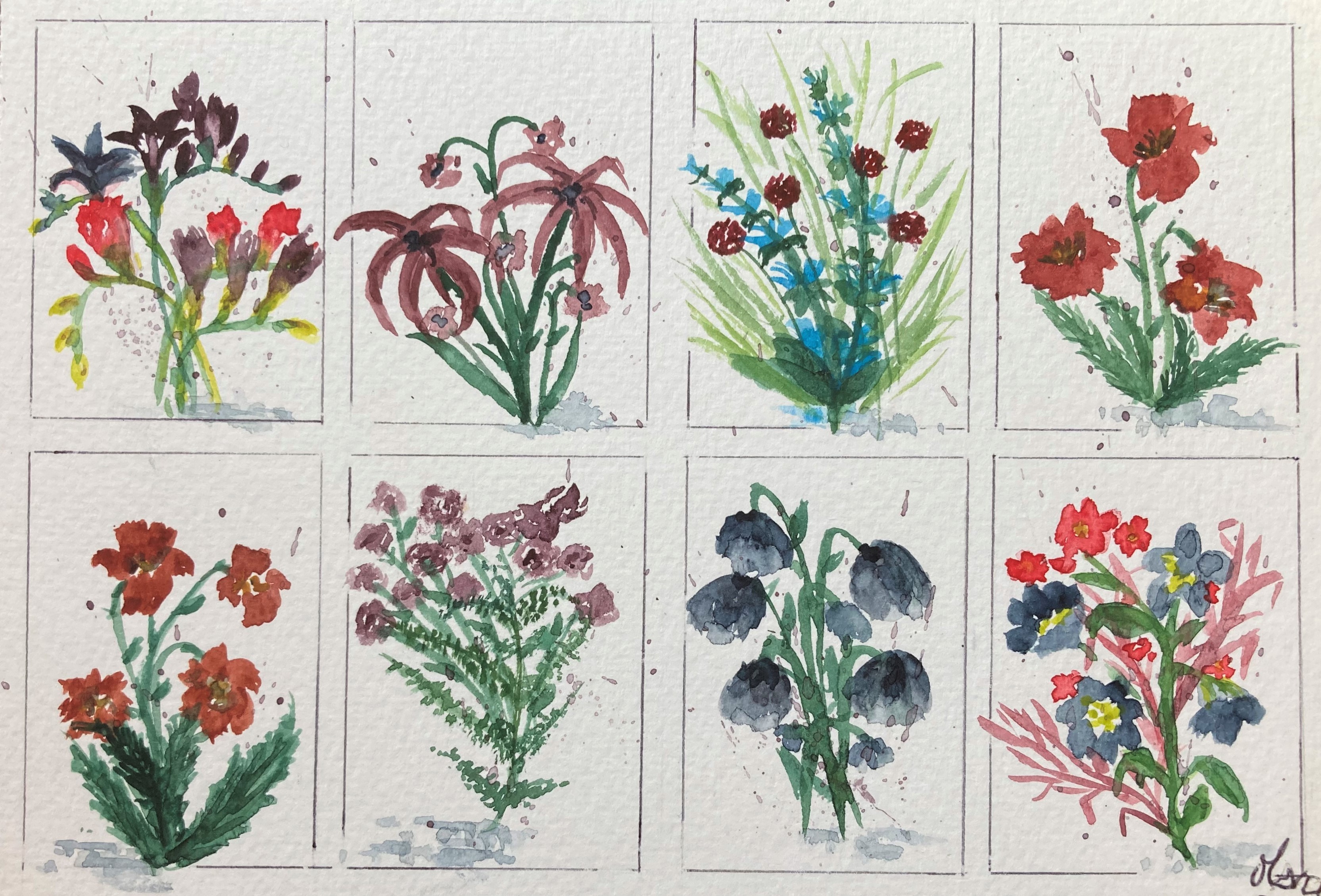 66 - Petite planche de fleurs 