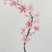 88 - Branche de cerisier